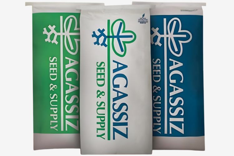 Grass seeds of highest quality