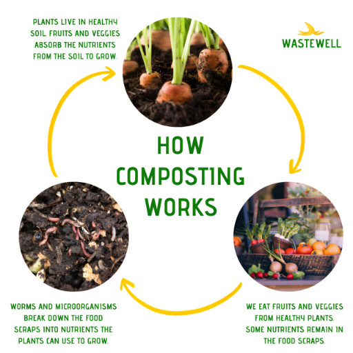 Process of how composting works